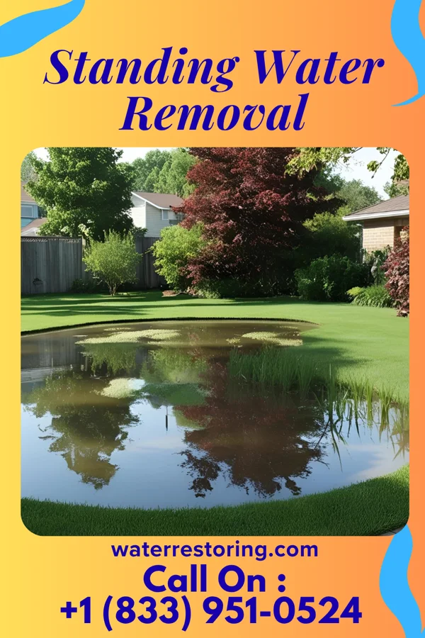 Standing Water Removal in Redding, IA